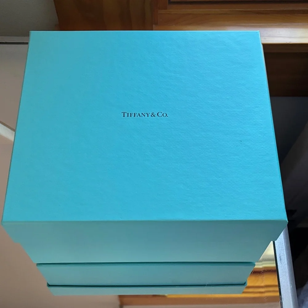 Tiffany & Co. good bag